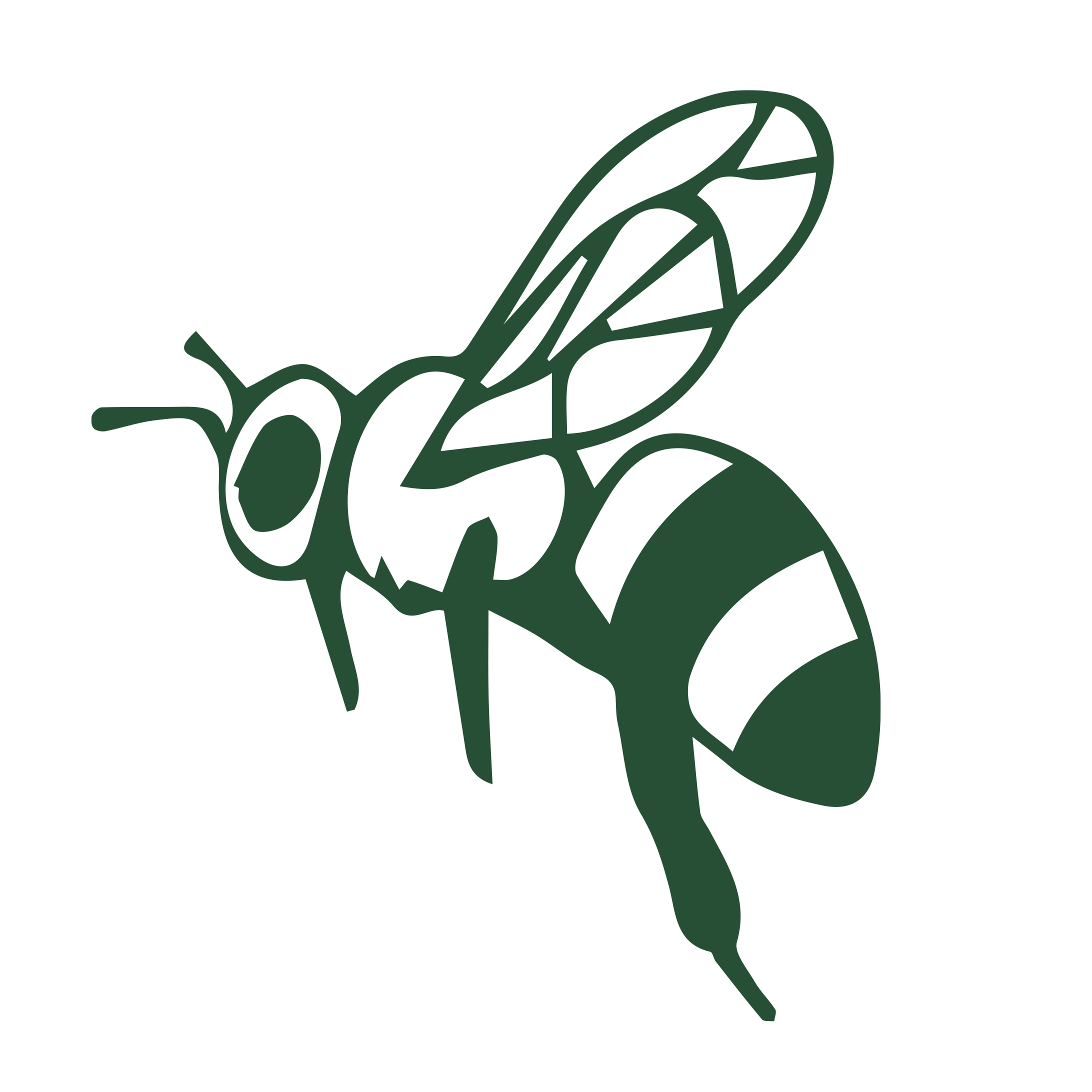 Picto pollinisateur copie 2