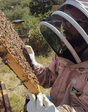 julien you and bees