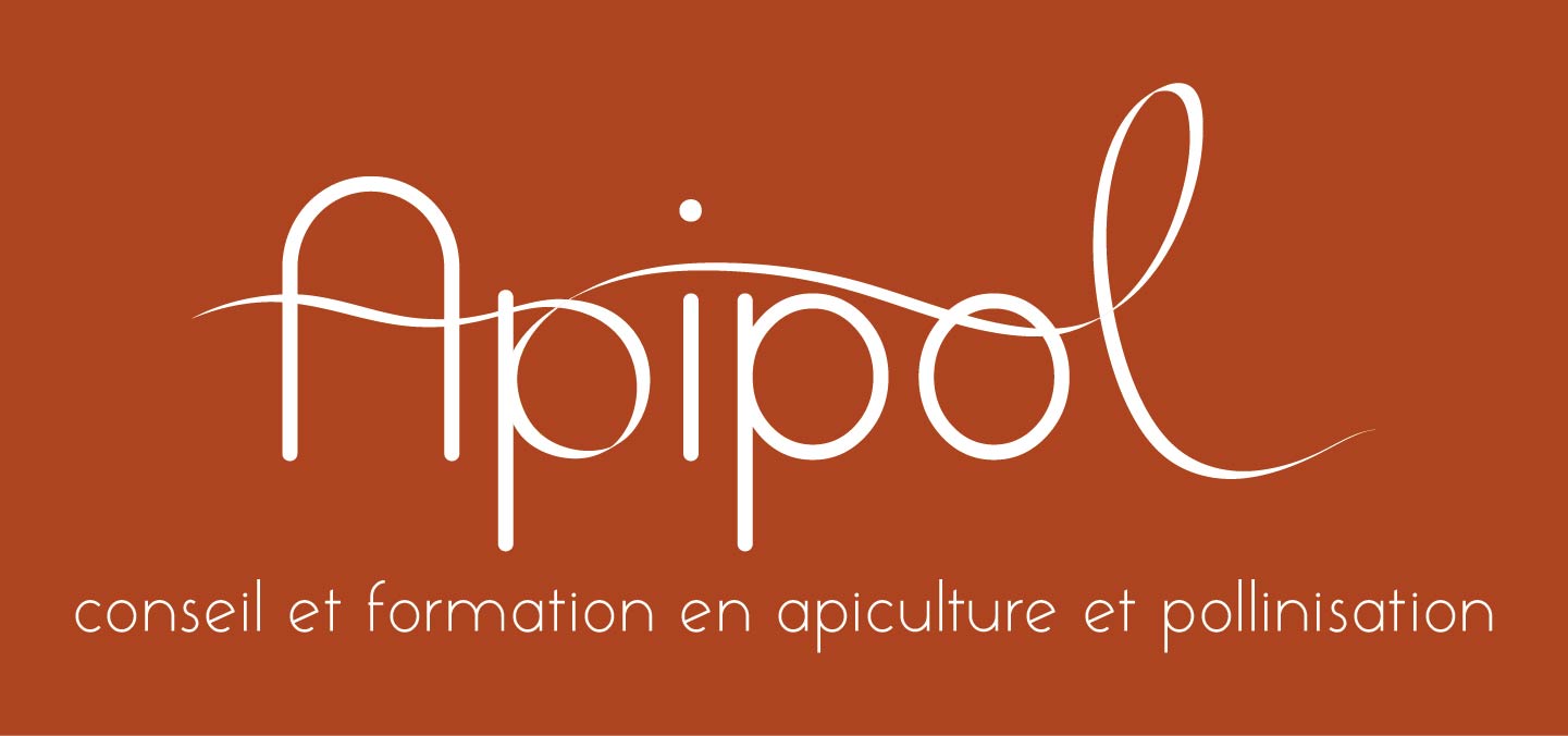 Logo Apipol Logo Apipol