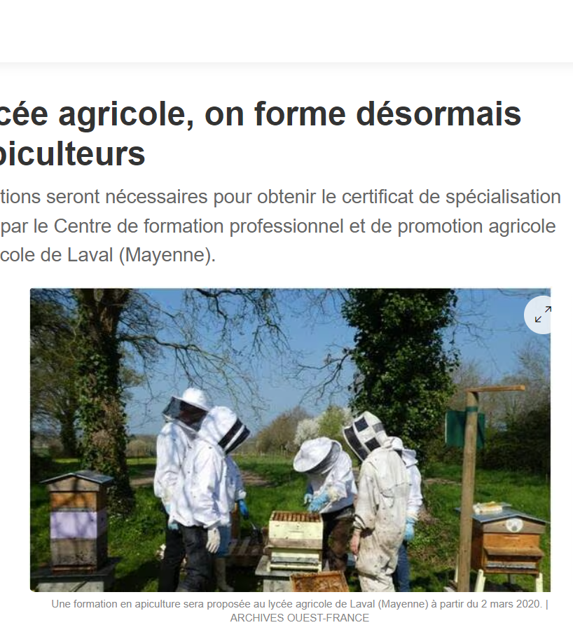 Capture d’écran 2024-07-11 174003 Capture decran 2024 07 11 174003 1