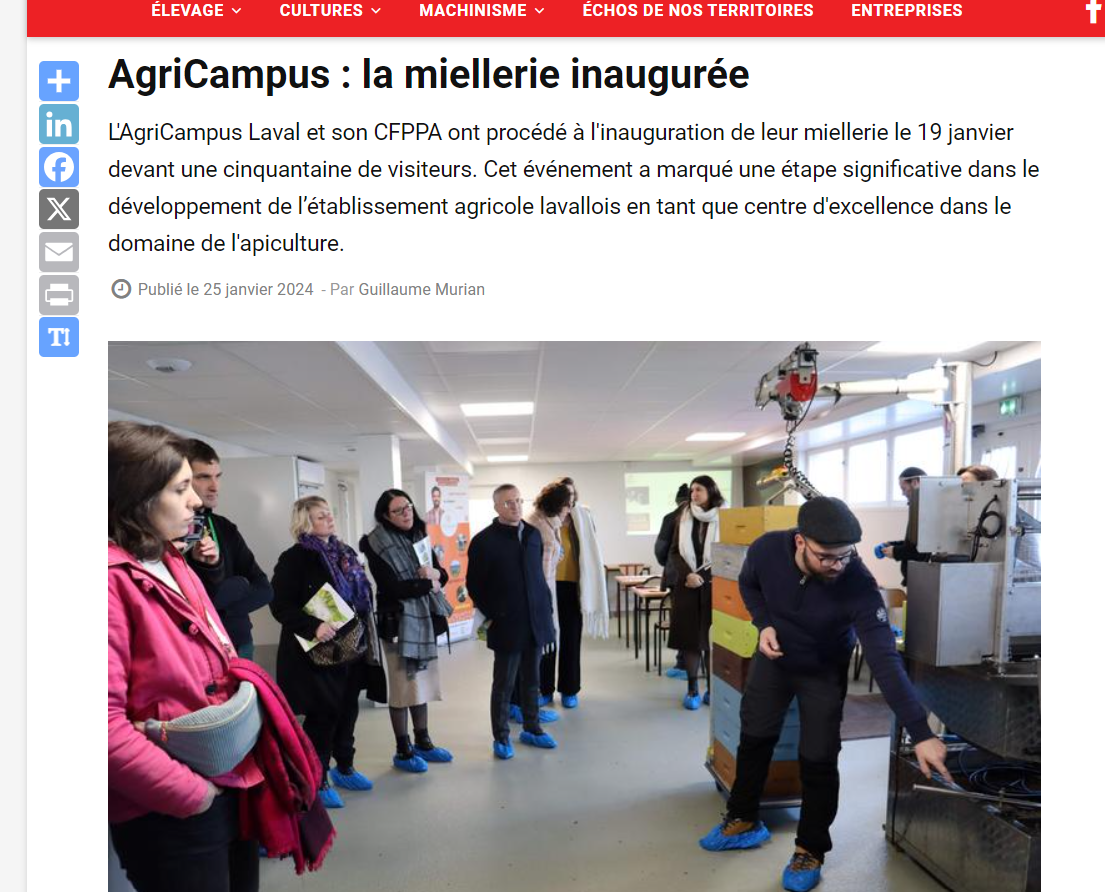 Capture d’écran 2024-07-11 174055 une ruche en ville