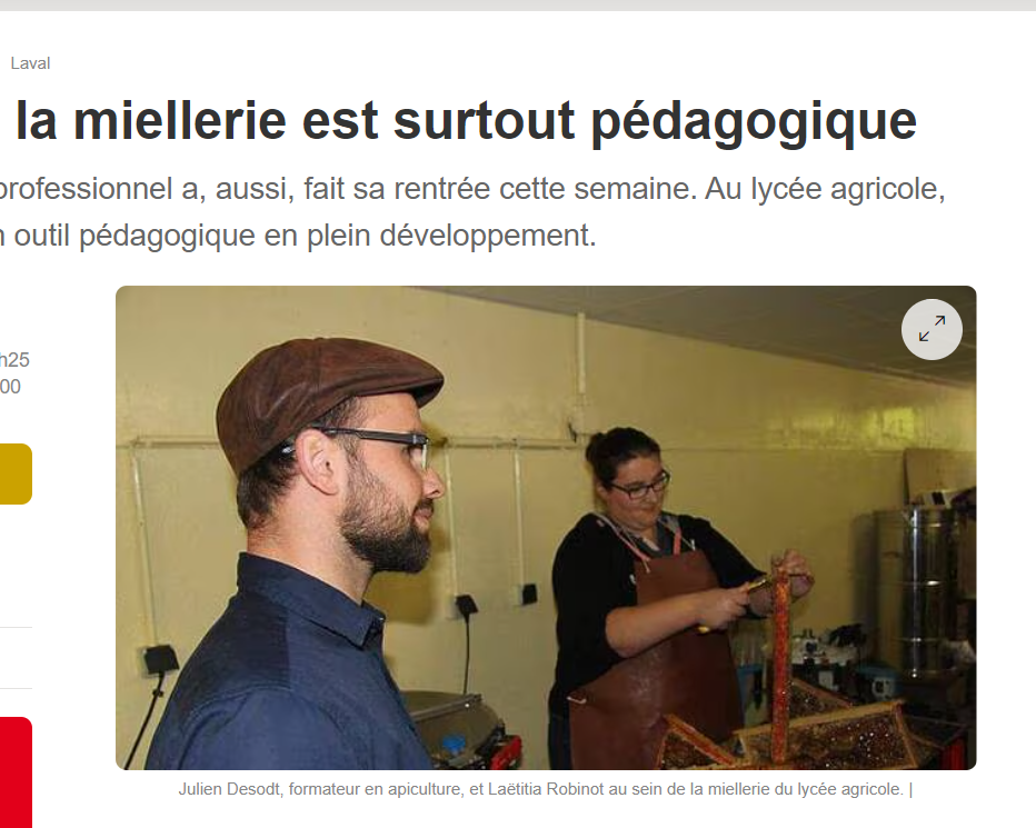 pédagogie